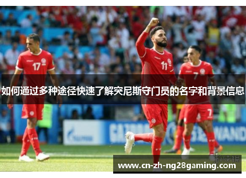 如何通过多种途径快速了解突尼斯守门员的名字和背景信息