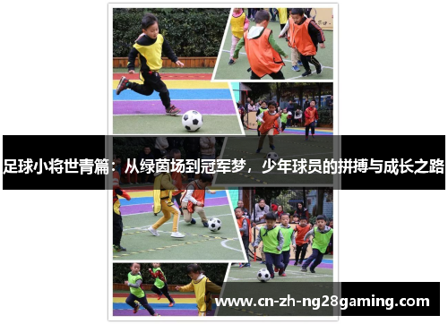 足球小将世青篇:从绿茵场到冠军梦,少年球员的拼搏与成长之路 足球小将世青篇:从绿茵场到冠军梦,少年球员的拼搏与成长之路