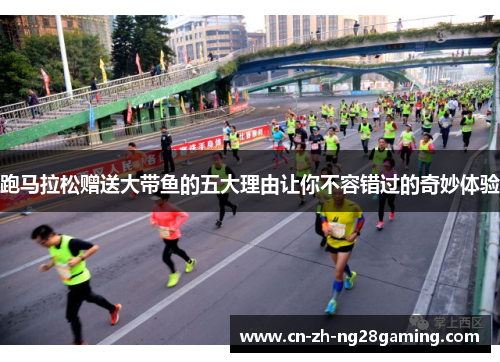 跑马拉松赠送大带鱼的五大理由让你不容错过的奇妙体验