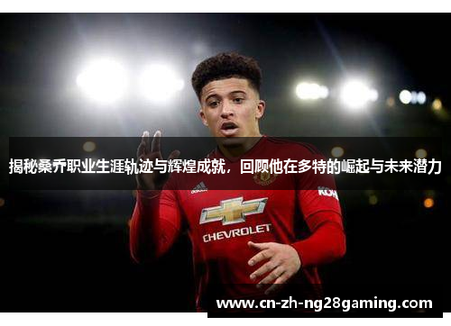 揭秘桑乔职业生涯轨迹与辉煌成就，回顾他在多特的崛起与未来潜力