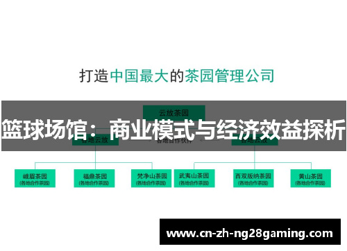 篮球场馆：商业模式与经济效益探析